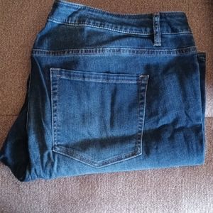 Lane Bryant Jeans
